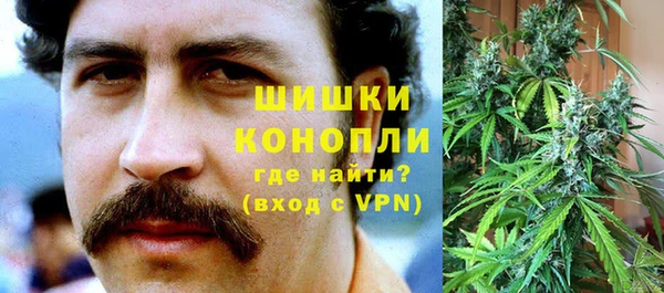 соль ск Арсеньев