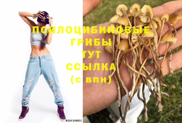 соль ск Арсеньев