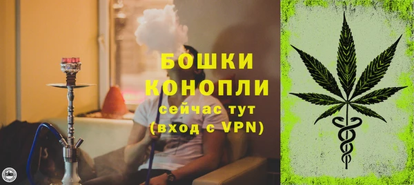 спиды Аркадак