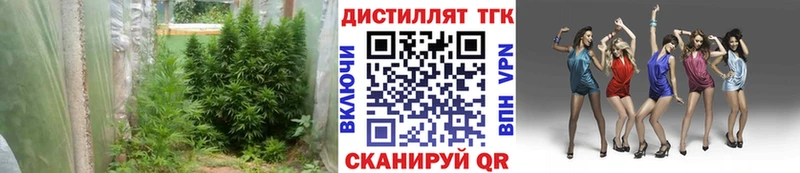 Дистиллят ТГК вейп  Плёс 
